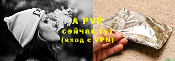 стаф Горняк