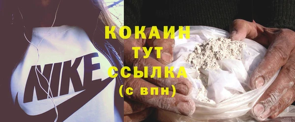 стаф Горняк