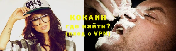 стаф Горняк