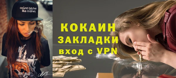 стаф Горняк