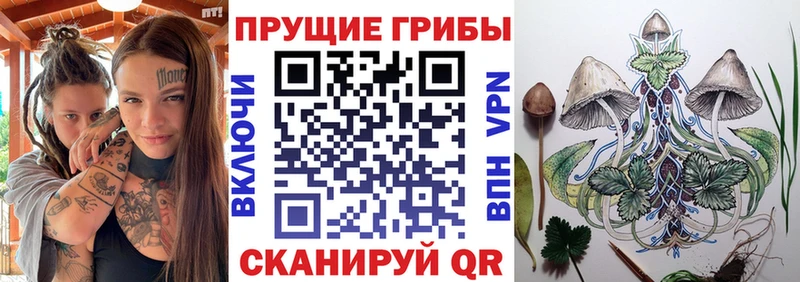наркота  Гусь-Хрустальный  Галлюциногенные грибы ЛСД 