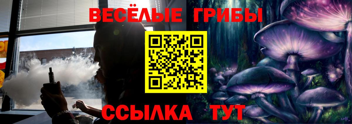Галлюциногенные грибы Cubensis  Псилоцибиновые грибы ЛСД  где купить   Гусь-Хрустальный 